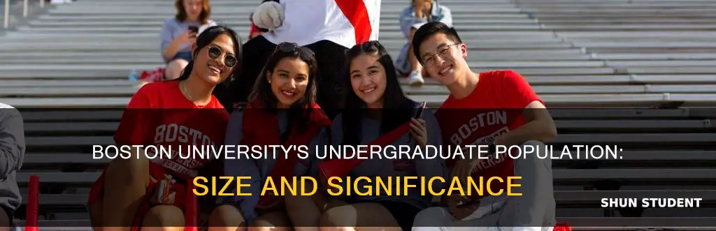 how many undergraduate students at boston university