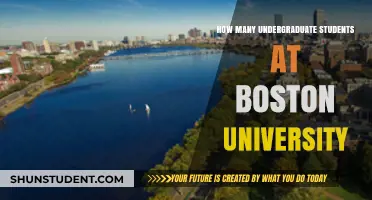 Discover Boston University's Undergraduate Student Population