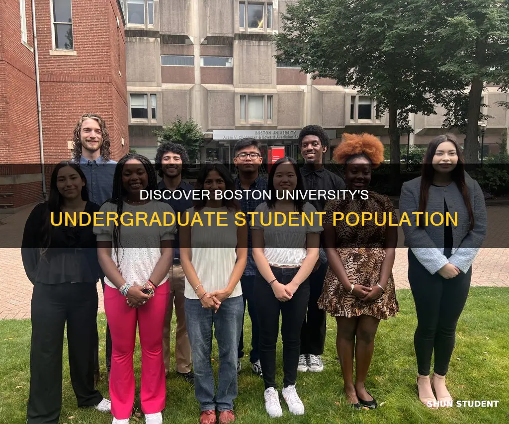 how many undergraduate students at boston university