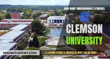 Undergraduate Enrollment at Clemson University: Current Numbers and Trends