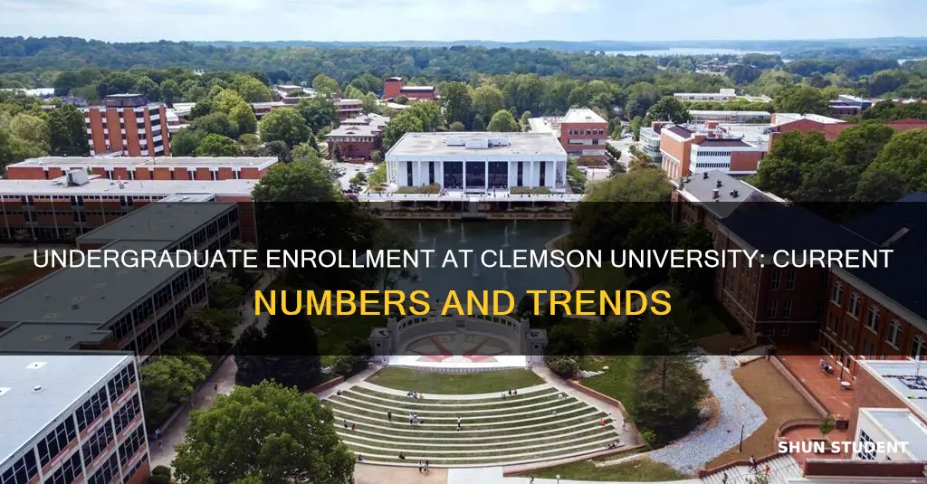 how many undergraduate students at clemson university