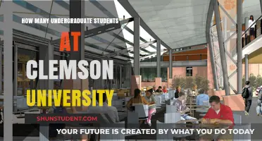 Undergraduate Enrollment at Clemson University: A Comprehensive Overview