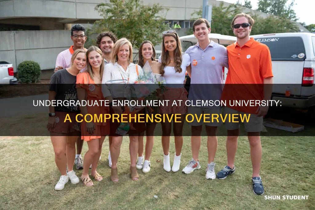 how many undergraduate students at clemson university