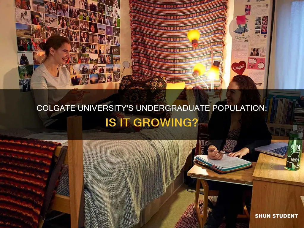 how many undergraduate students at colgate university