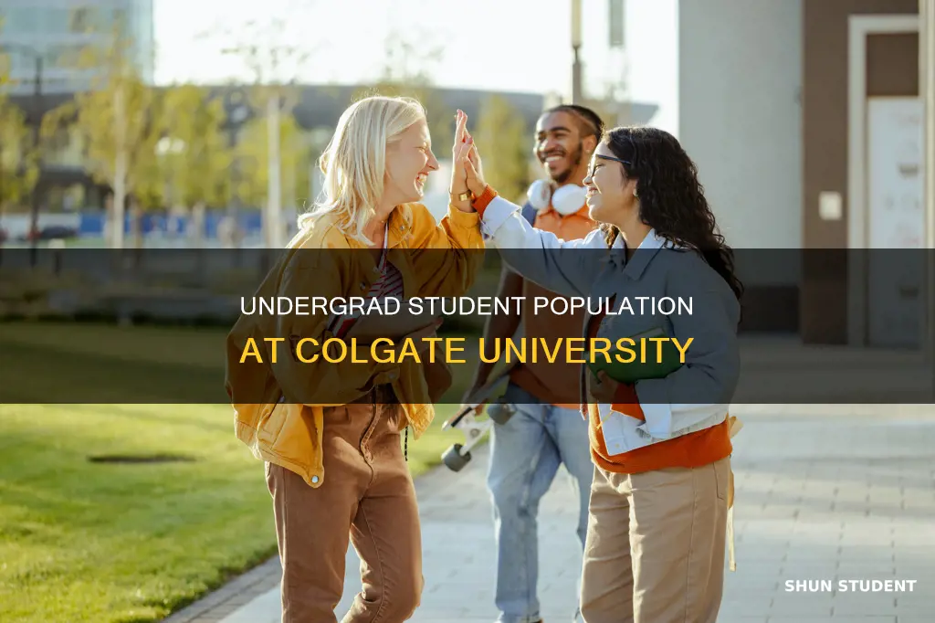how many undergraduate students at colgate university