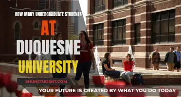 Duquesne University's Undergraduate Student Population: How Many?