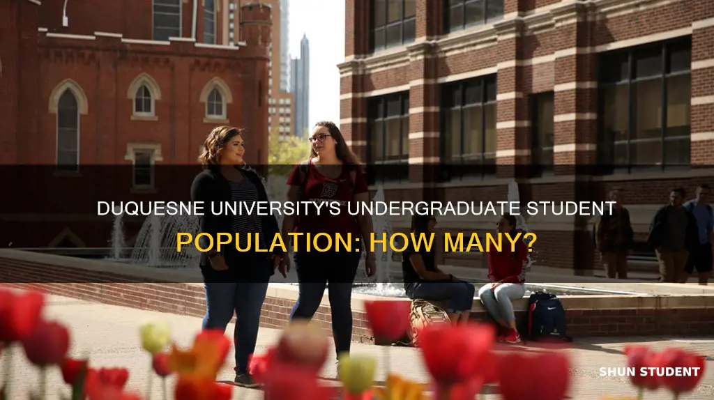 how many undergraduate students at duquesne university