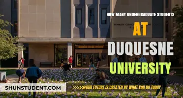 Duquesne University's Undergraduate Population
