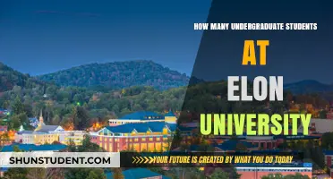 Undergraduate Student Population at Elon University