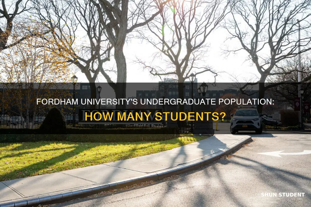 how many undergraduate students at fordham university