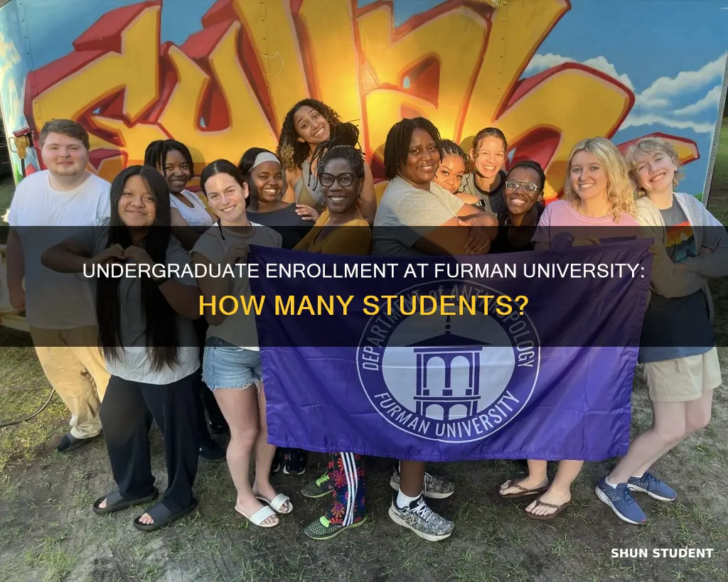 how many undergraduate students at furman university