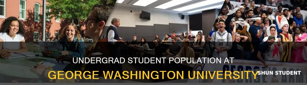 how many undergraduate students at george washington university