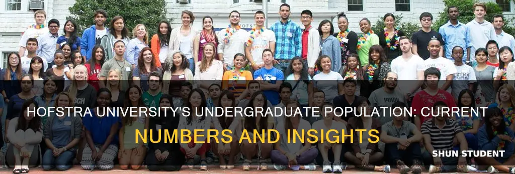 how many undergraduate students at hofstra university