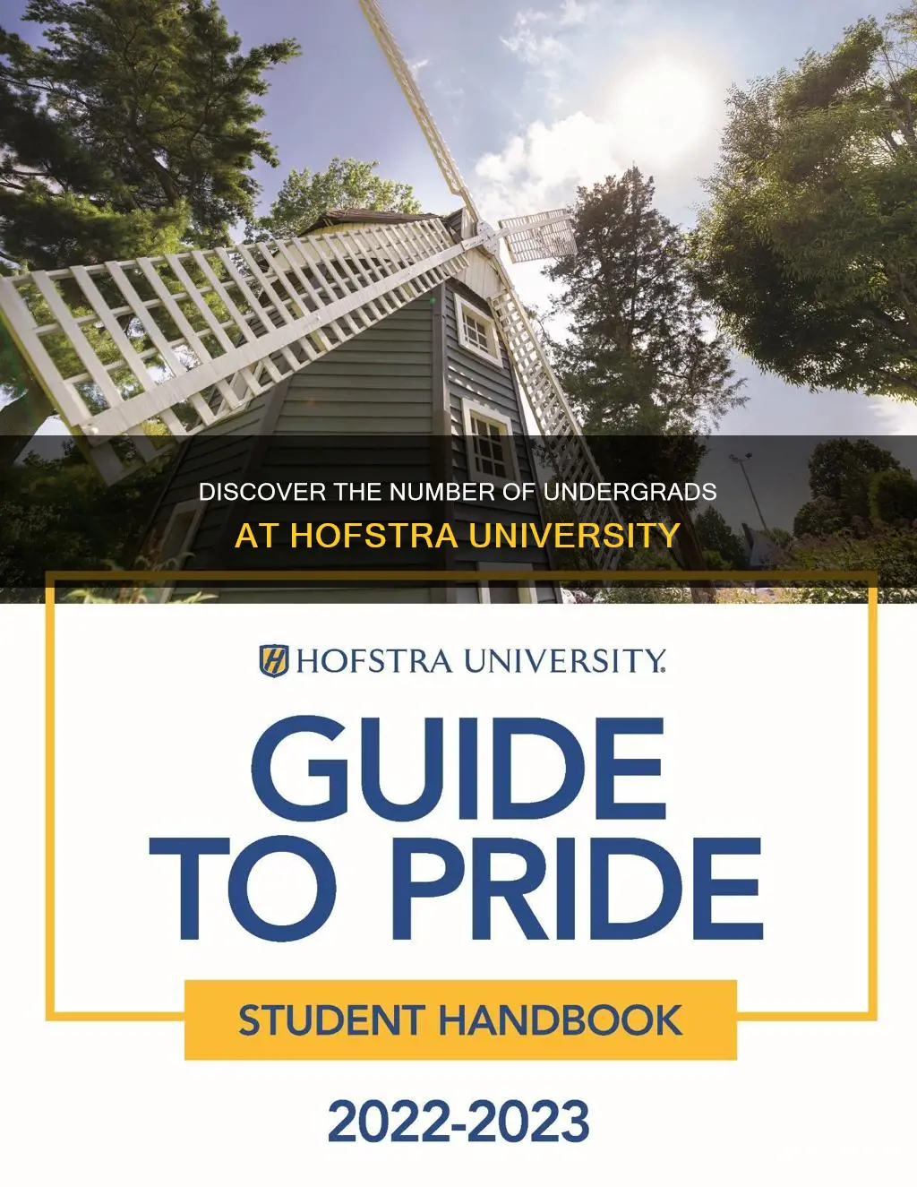 how many undergraduate students at hofstra university
