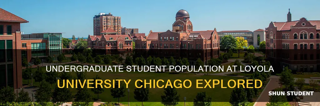 how many undergraduate students at loyola university chicago