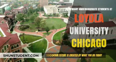 Chicago's Loyola University: A Thriving Undergraduate Community