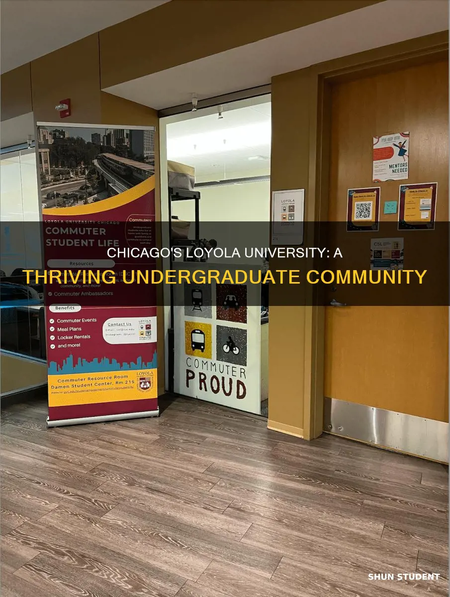 how many undergraduate students at loyola university chicago