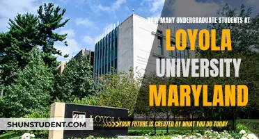 Loyola University Maryland: Undergraduate Student Population Insights