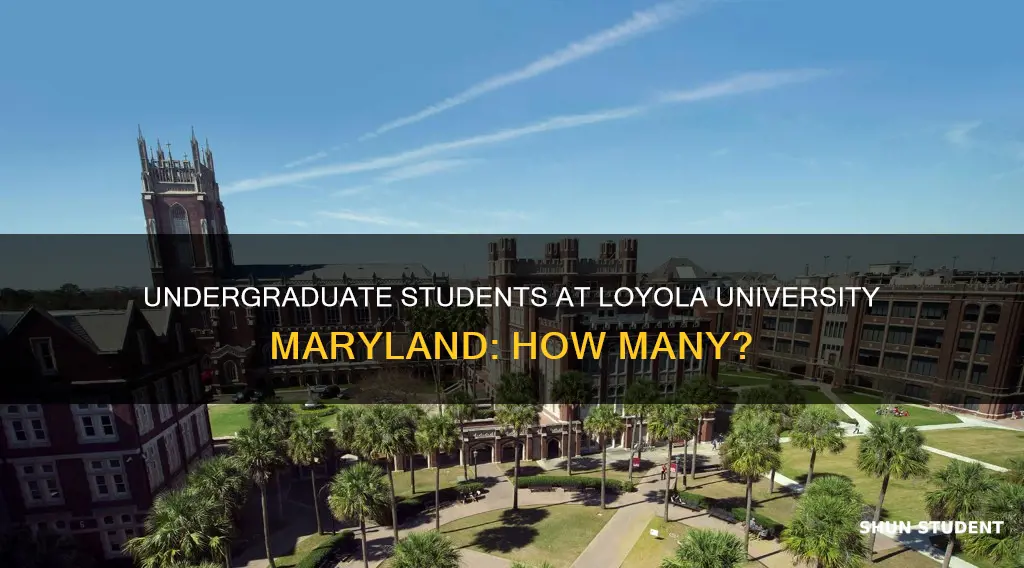 how many undergraduate students at loyola university maryland