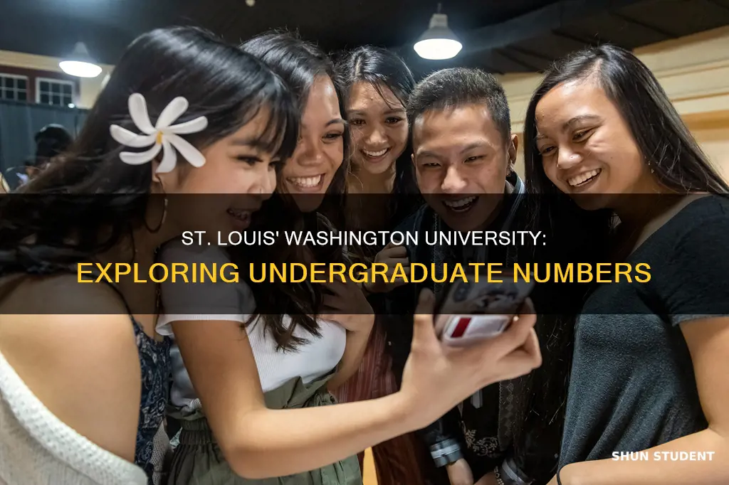 how many undergraduate students at washington university st louis