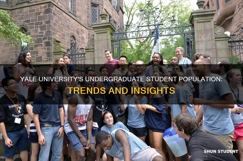 how many undergraduate students at yale university