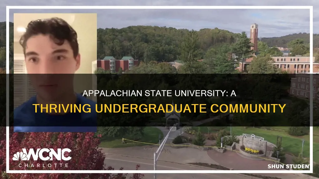 how many undergraduate students attend appalachian state university