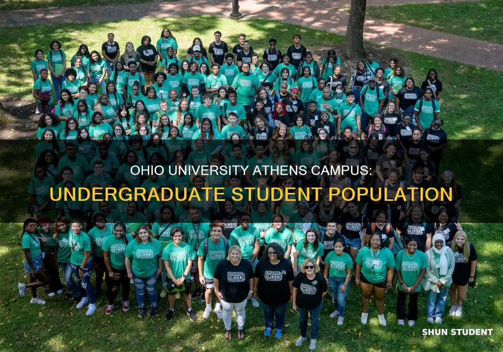 how many undergraduate students attend ohio university athens campus