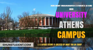 Athens Campus of Ohio University: Undergraduate Population