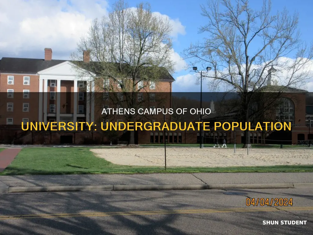 how many undergraduate students attend ohio university athens campus