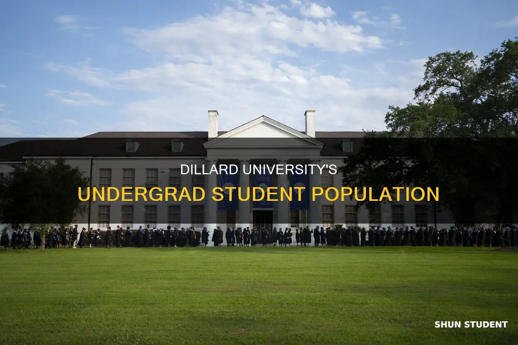 how many undergraduate students dillard university have