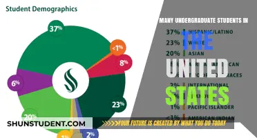 Exploring the Demographics: Undergraduate Students in the United States