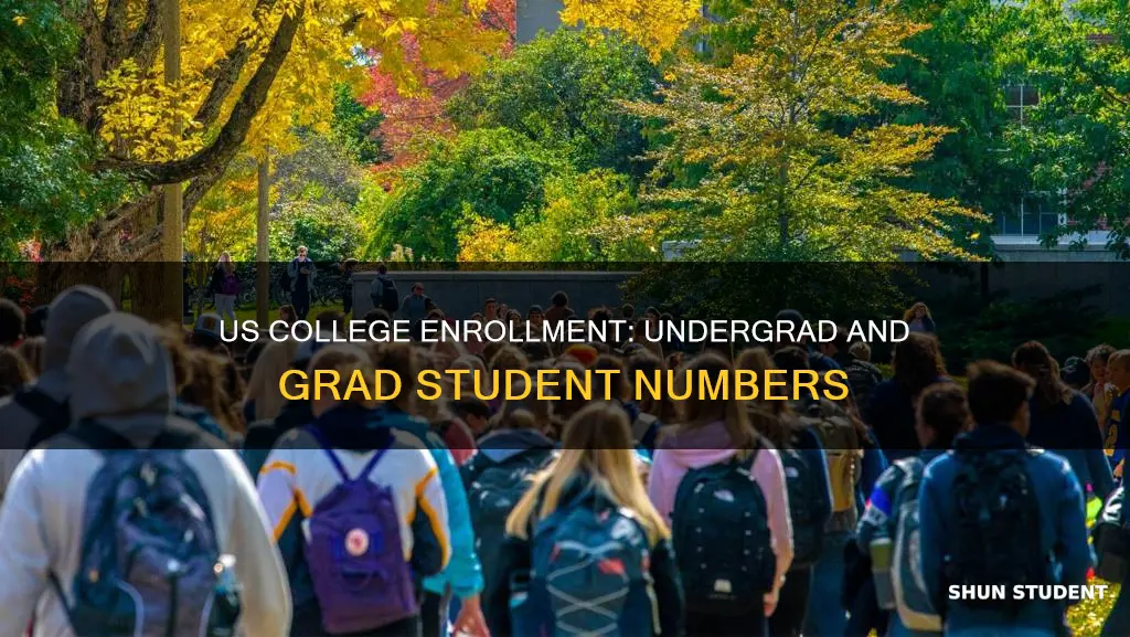 how many undergraduates and graduate students in college and universities