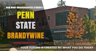 Exploring the Undergraduate Population at Penn State Brandywine