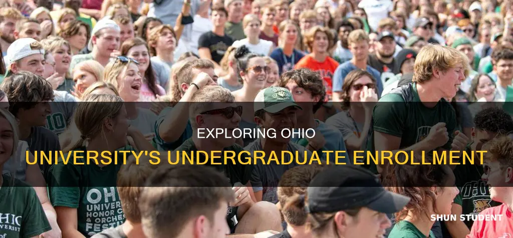 how many undergradutae students attend ohio university