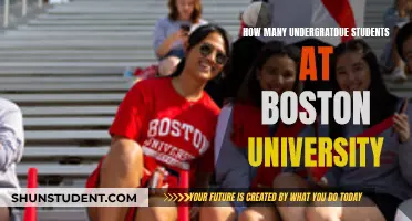 Boston University's Undergraduate Population: How Many Students?