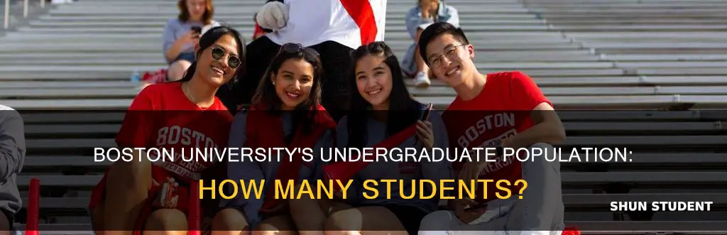 how many undergratdue students at boston university