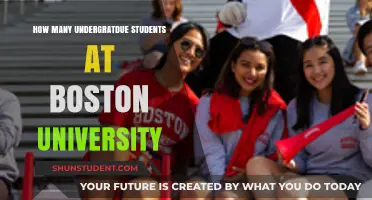 Discover Boston University's Undergraduate Population