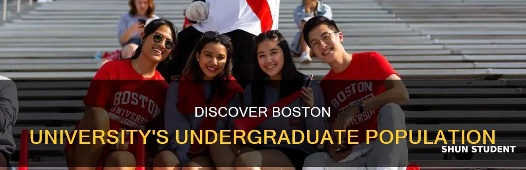 how many undergratdue students at boston university