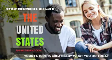 Undocumented Students in the U.S.: A Look at the Numbers