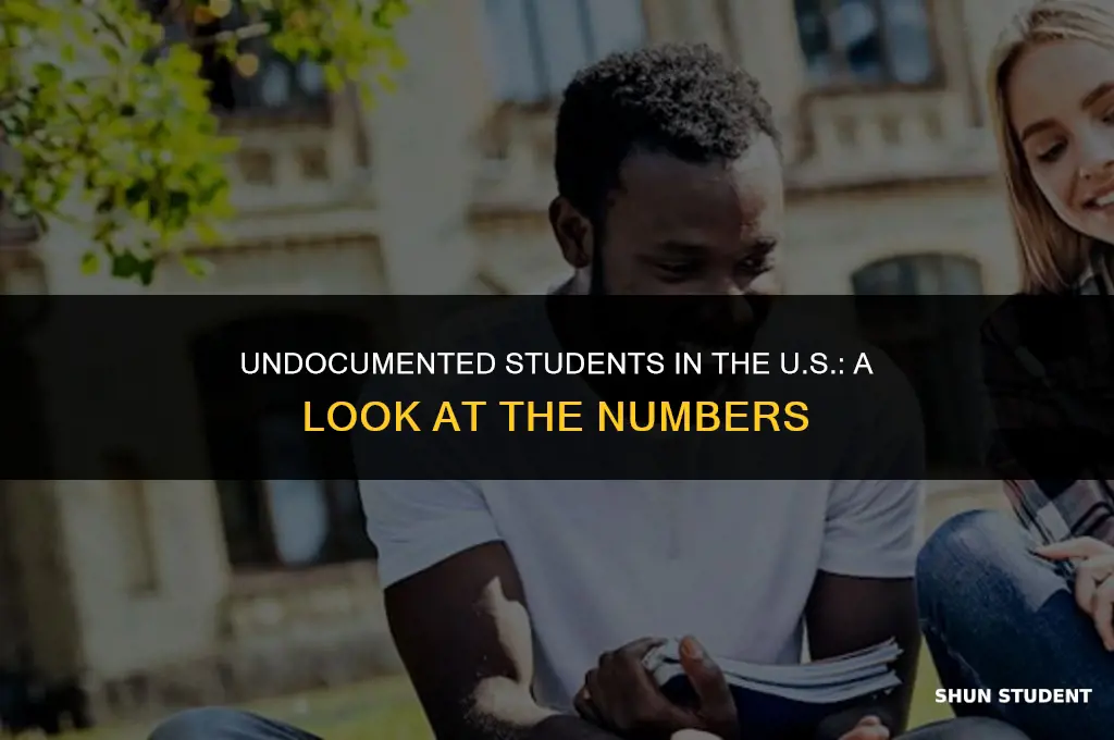 how many undocumented students are in the united states