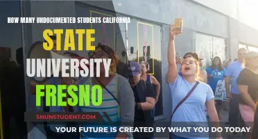 Undocumented Students at California State University, Fresno: Counting the Uncounted