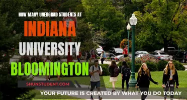 Unveiling Indiana University Bloomington's Undergrad Student Population