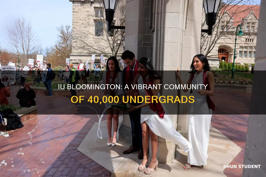 how many unergrad students at indiana university bloomington