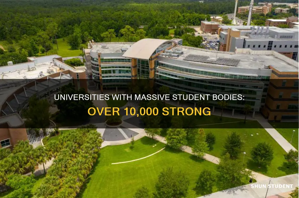 how many universities have at least 10000 students