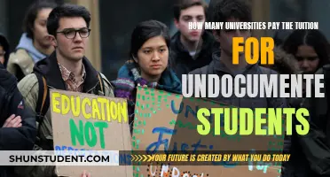 Undocumented Students: University Tuition Support and Access