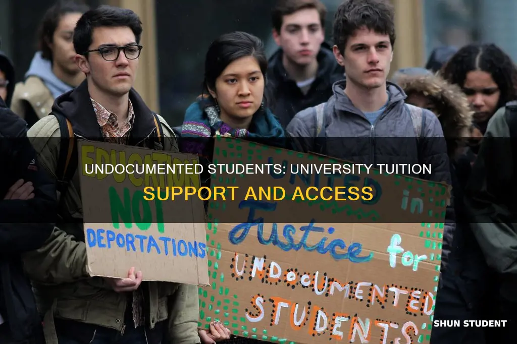 how many universities pay the tuition for undocumented students