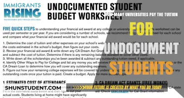Undocumented Students: Which Universities Cover Tuition Fees?