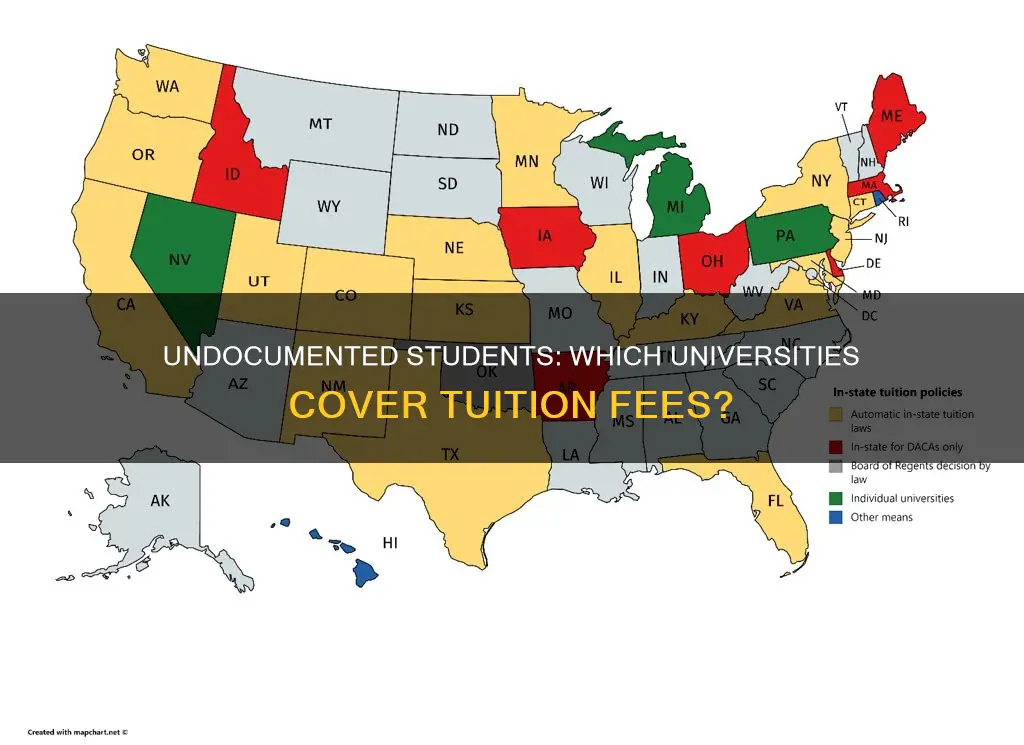 how many universities pay the tuition for undocumented students