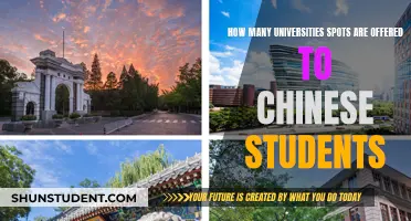 Chinese Students: University Spots and Opportunities