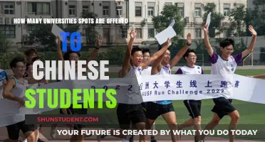 Chinese Students: University Spots and Competition